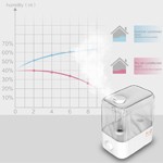 Do you need a humidifier in winter?