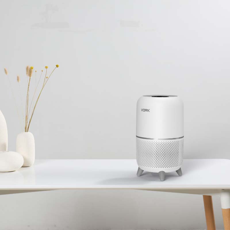 Air purifiers are the best at keep the environment within our homes clean