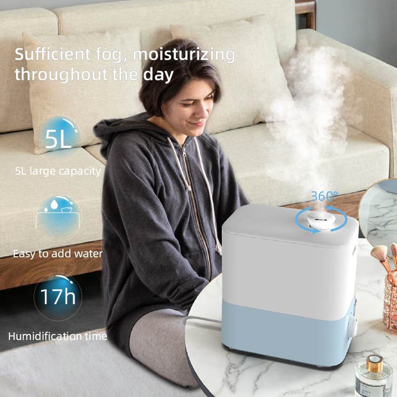 Rejuvenate Your Home with Quiet Mute Air Humidifiers