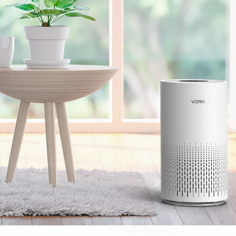 Where To Get Air Purifier - Vork Health